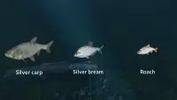 3. Ultimate Fishing Simulator - New Fish Species PL (DLC) (PC) (klucz STEAM)