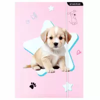 2. Starpak Teczka z Gumką Doggy 559706