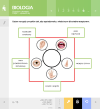 4. MPP Multimedialne Pracownie Przedmiotowe BIOLOGIA dla Klas 5-8 Szkół Podstawowych (3 użytkowników)