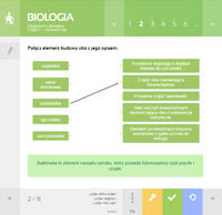 1. MPP Multimedialne Pracownie Przedmiotowe BIOLOGIA dla Klas 5-8 Szkół Podstawowych (3 użytkowników)