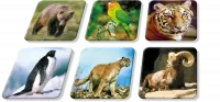 2. Adamigo Gra Memory ZOO