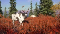 2. theHunter: Call of the Wild™ - Yukon Valley PL (DLC) (PC) (klucz STEAM)