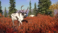 4. theHunter: Call of the Wild™ - Yukon Valley PL (DLC) (PC) (klucz STEAM)