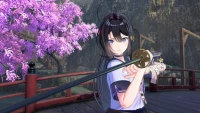 10. SAMURAI MAIDEN (PC) (klucz STEAM)