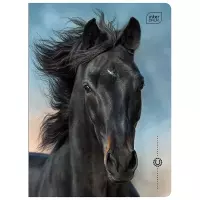 1. Interdruk Zeszyt A5 16 kartek kolorowa 3linia UV Wild Horses 366450