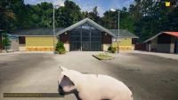 2. Animal Shelter - Puppies & Kittens PL (DLC) (PC) (klucz STEAM)