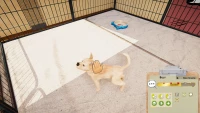 6. Animal Shelter - Puppies & Kittens PL (DLC) (PC) (klucz STEAM)