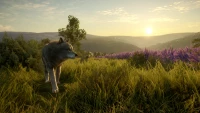 6. theHunter: Call of the Wild™ - Cuatro Colinas Game Reserve PL (DLC) (PC) (klucz STEAM)