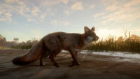 6. theHunter: Call of the Wild™ - Mississippi Acres Preserve PL (DLC) (PC) (klucz STEAM)