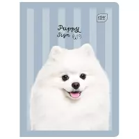 2. Interdruk Zeszyt A5 16 kartek kolorowa 3linia UV Puppy Sign 348272
