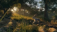 5. theHunter: Call of the Wild™ - Rancho del Arroyo PL (DLC) (PC) (klucz STEAM)