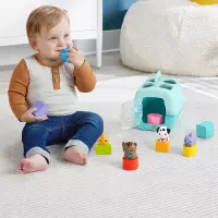 5. Fisher Price Sorter Transporter Zwierzątek HTW93 