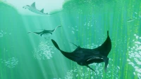 5. ABZU (PC) (klucz STEAM)