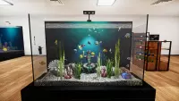 7. Aquatic Store Simulator PL (PC) (klucz STEAM)