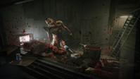 2. Outlast: Whistleblower DLC PL (klucz STEAM)