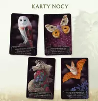 3. Koty (nowa edycja)