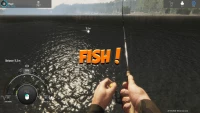 9. Fishing Adventure: Finland Reserve PL (DLC) (PC) (klucz STEAM)