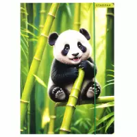 2. Starpak Teczka z Gumką Wild Animals 559729