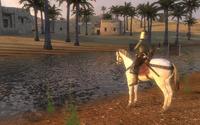 4. Mount & Blade: Warband PL (klucz STEAM)