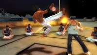 5. Martial Arts: Capoeira (PC) DIGITAL (klucz STEAM)