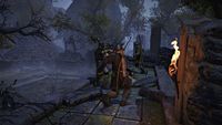 9. Vikings & Roses - Unleash the War Pack (PC) DIGITAL (klucz STEAM)