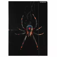 4. Starpak Teczka z Gumką Spider 559732