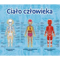 4. Trefl Mistrz Wiedzy Ciało Człowieka