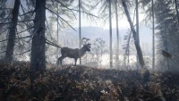 4. theHunter: Call of the Wild - Medved-Taiga PL (DLC) (PC) (klucz STEAM)