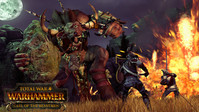 3. Total War: Warhammer - Call of the Beastmen PL (DLC) (klucz STEAM)