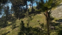 10. theHunter: Call of the Wild™ - Te Awaroa National Park PL (DLC) (PC) (klucz STEAM)