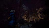 9. Through the Woods Collector's Edition (PC) DIGITAL (klucz STEAM)