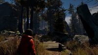 3. Through the Woods Collector's Edition (PC) DIGITAL (klucz STEAM)