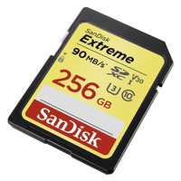 4. SanDisk Secure Digital (SDXC) 256 GB Extreme 90MB/s· V30 C10 UHS-I U3