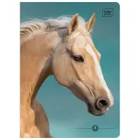 3. Interdruk Zeszyt A5 16 kartek kratka UV Wild Horses 366320