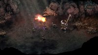 7. Pillars of Eternity: Champion Edition PL (PC) (klucz STEAM)