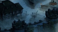 3. Pillars of Eternity: Champion Edition PL (PC) (klucz STEAM)