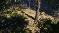 2. theHunter: Call of the Wild™ - Sundarpatan Nepal Hunting Reserve PL (DLC) (PC) (klucz STEAM)