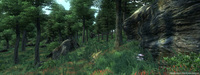 3. The Elder Scrolls IV: Oblivion Game of the Year Deluxe ANG (PC) DIGITAL (klucz STEAM)