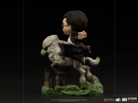 5. Figurka Harry Potter i Hardodziob Minico