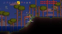 2. Terraria (NS)