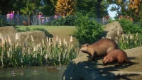 7. Planet Zoo: North America Animal Pack PL (DLC) (PC) (klucz STEAM)