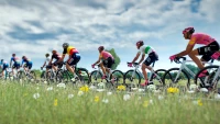 10. Tour de France 2024 (PC) (klucz STEAM)