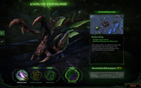 5. StarCraft II Heart of the Swarm (PC) PL/ANG DIGITAL (Klucz aktywacyjny Battle.net)