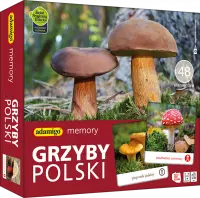 1. Adamigo Gra Memory Grzyby Polski