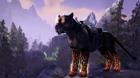 2. The Elder Scrolls Online - Summerset Upgrade (PC/MAC) DIGITAL (Klucz do aktywacji online)