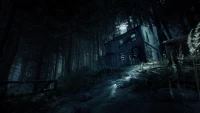 3. Blair Witch PL (PC) (klucz STEAM)