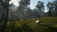 9. theHunter: Call of the Wild™ - Te Awaroa National Park PL (DLC) (PC) (klucz STEAM)