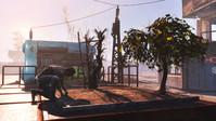 1. Fallout 4 - Wasteland Workshop (DLC) PL (klucz STEAM)