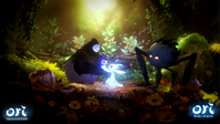 6. Ori The Collection (Ori and the Blind Forest Definitive Edition & Ori and the Will of the Wisps) (NS)