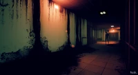 6. Husk PL (PC) (klucz STEAM)